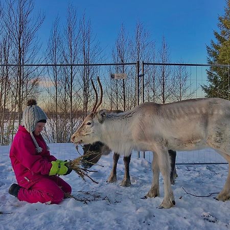 הוילה Tervola Beautiful Rural Experience With Reindeer מראה חיצוני תמונה