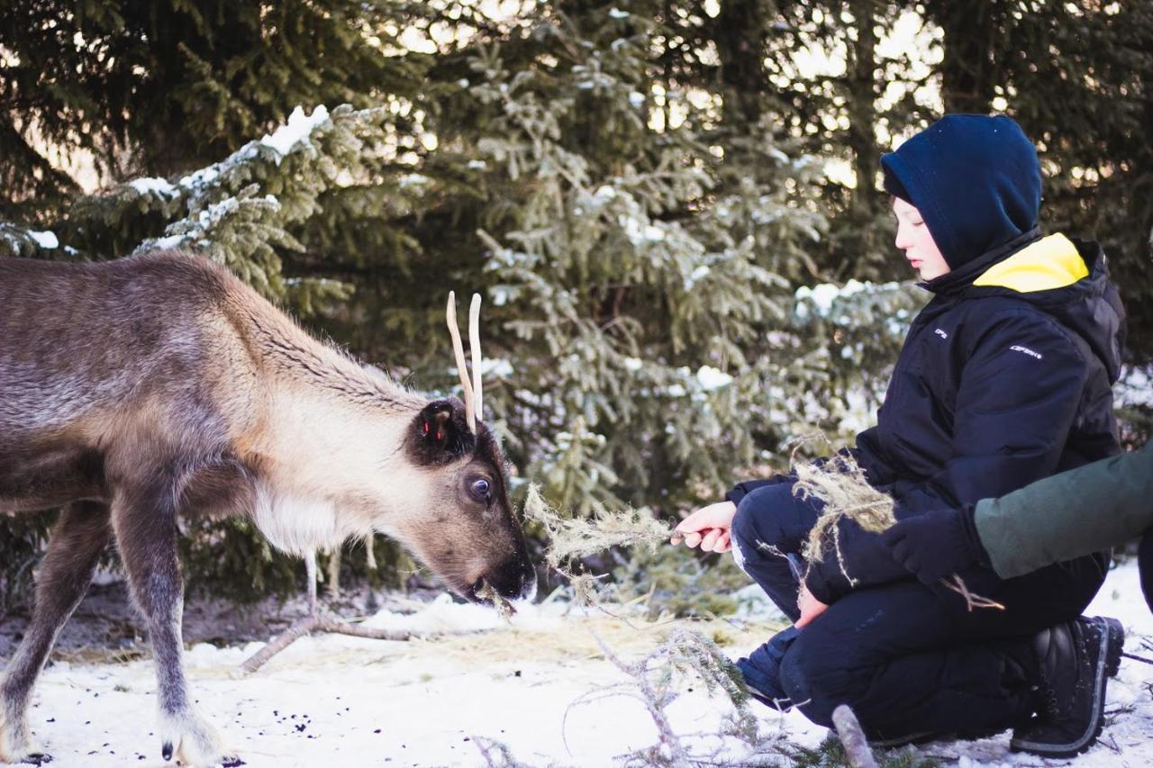 הוילה Tervola Beautiful Rural Experience With Reindeer מראה חיצוני תמונה