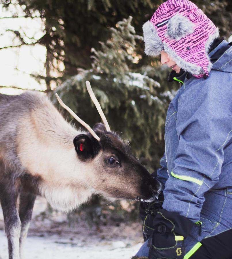 הוילה Tervola Beautiful Rural Experience With Reindeer מראה חיצוני תמונה