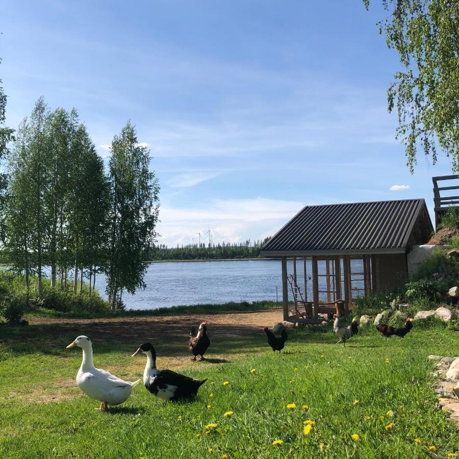 הוילה Tervola Beautiful Rural Experience With Reindeer מראה חיצוני תמונה